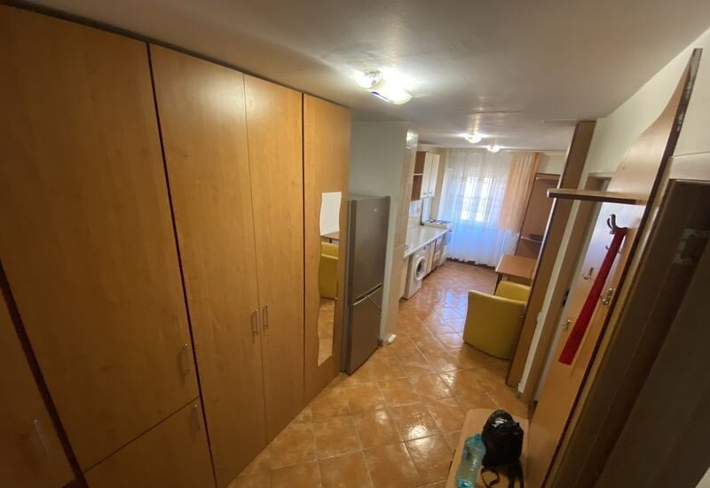 Lacul Tei, langa Facultatea de Constructii, Parcul Tei,